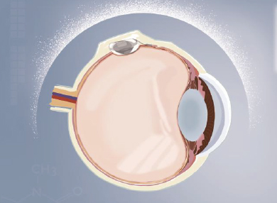 利来集团(中国)_来利国际w66手机版老牌