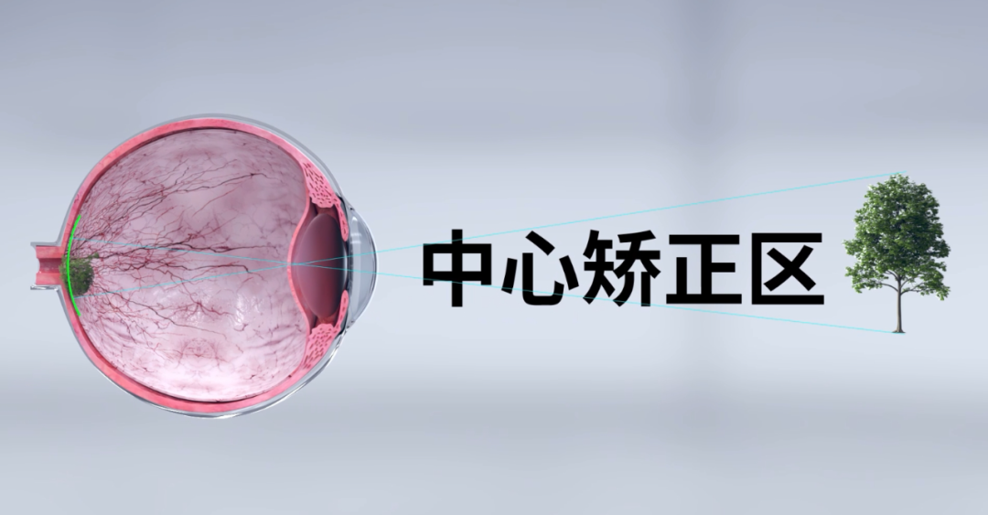 利来集团(中国)_来利国际w66手机版老牌